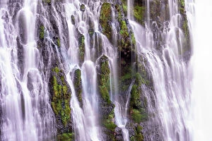 Images Dated 12th November 2021: USA, California, McArthur-Burney Falls State Park. Burney Creek waterfall and ferns
