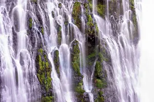 USA, California, McArthur-Burney Falls State Park. Burney Creek waterfall and ferns. Date: 07-04-2021