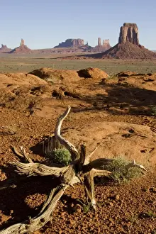 Pinnacle Prints: USA - The classic Wild-West landscape of sandstone buttes and pinnacles of rock in the Monument Valley