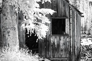 Window Gallery: USA, Colorado, Old Mining Shack