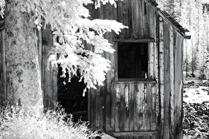 Cabin Prints: USA, Colorado, Old Mining Shack Date: 29-09-2006