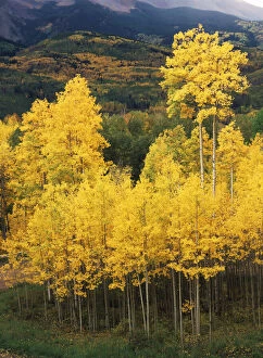 USA, Colorado, Telluride, View of autumn