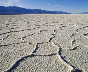 USA - Death Valley National Monument, Badwater salt flats, lowest point in United States -86m (-282 feet)