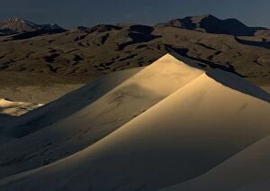 USA - Eureka dunes showing light contrast at dawn. Death Valley National Park. A National Natural Landmark