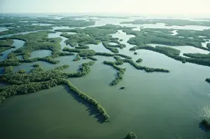 Everglades Prints: USA - Everglades National Park, the Ten Thousand Islands. Florida