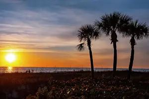 Palm Prints: USA, Florida, Sarasota, Crescent Beach, Siesta Key, Sunset Date: 01-03-2020