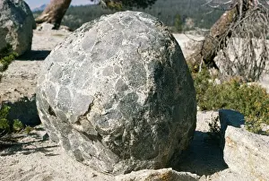 Boulders Prints: USA Glacial erratic boulder of Conglomerate, Yosemite National Park