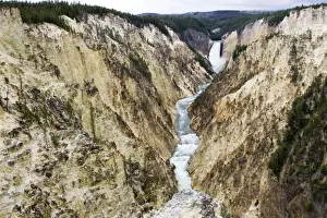 USA - Grand Canyon of the Yellowstone Yellowstone National Park