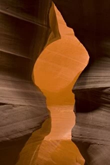Images Dated 10th April 2005: USA - Light that penetrates into the narrow canyon walls creates beautiful hues on the graceful