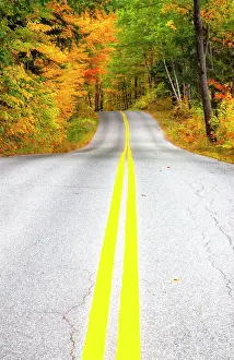 Line Prints: USA, Maine, Highway 113 lined by Maple and Birch trees in full Autumn color Date: 03-10-2013