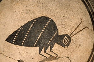 Images Dated 20th February 2007: USA - Mimbres Bowl, Mimbres Culture. Millicent Rogers Museum, Toas, New Mexico
