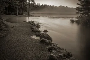 Pine Gallery: USA, Minnesota, Itasca State Park, Mississippi Headwaters