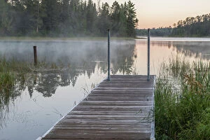 Pine Gallery: USA, Minnesota, Itasca State Park, Lake Itasca