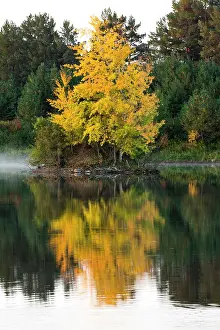 USA, Minnsota, Duluth, Fall Color Date: 23-09-2020