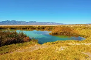 Nevada Prints: USA, Nevada, Gerlach. Black Rock Desert