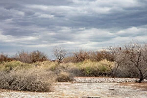 Wetlands Gallery: USA, Nevada, Las Vegas (on 2019 California Drought)