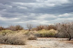 California Prints: USA, Nevada, Las Vegas (on 2019 California Drought Expedition)
