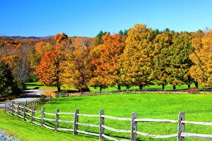 Color Collection: USA, New England, Vermont countryside with curved gravel road fence in Autumn Date: 08-10-2013