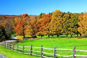 Wooden Prints: USA, New England, Vermont countryside with curved gravel road fence in Autumn Date: 08-10-2013