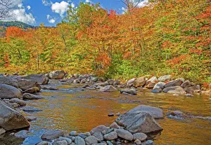 Swift Prints: USA, New Hampshire