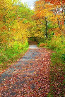Lined Prints: USA, New Hampshire, Franconia