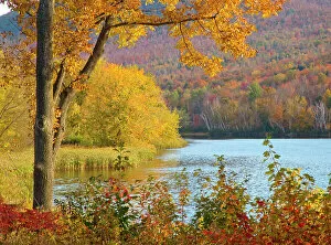 Beech Collection: USA, New Hampshire, Franconia, small lake surrounded by Fall color of Maple, White Birch