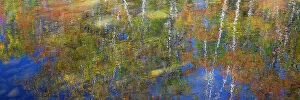 Images Dated 16th September 2021: USA, New Hampshire, Gorham Autumn colors reflected in small pond Date: 03-10-2013