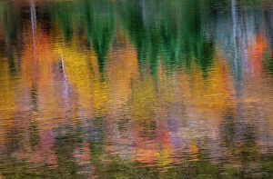 Color Collection: USA, New Hampshire, New England Fall colors reflected in the waters of the Saco River Crawford