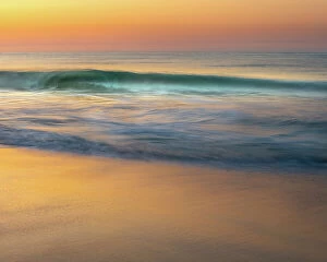 Wave Gallery: USA, New Jersey, Cape May National Seashore. Wave