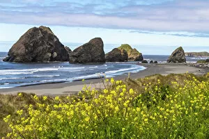 Wave Collection: USA, Oregon. Pistol River Beach and sea stacks. Date: 25-05-2021