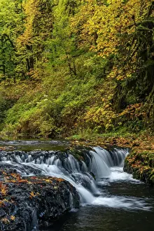 USA, Oregon, Silver Falls State Park. Waterfalls and forest in autumn. Date: 19-10-2021
