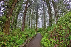 Quiet Prints: Usa, Oregon, Yachats. Cape Perpetua Date: 03-08-2021