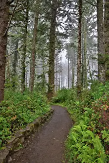 Usa, Oregon, Yachats. Cape Perpetua Date: 03-08-2021