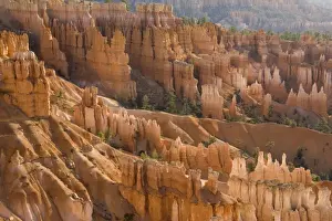 Pinnacle Prints: USA - Pinnacles of limestone rock (so-called hoodoos) and eroding fins in the spectacular Bryce Amphitheatre