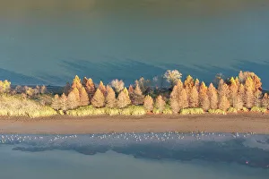 Authority Collection: USA, Tennessee. Evening light Tennessee River, Hiwassee Wildlife Refuge