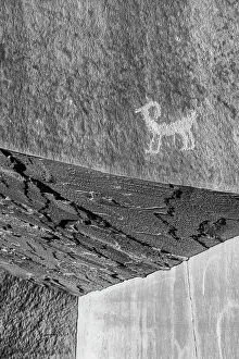 Ancient Collection: USA, Utah. Ancient petroglyphs in Kane Creek Canyon, near Moab. Date: 10-11-2020