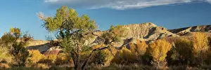 Hills Prints: USA, Utah. Bentonite hills and autumn cottonwoods near Capitol Reef National Park