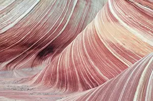 USA, UTAH - Colorado plateau - cross-bedded Navajo sandstone