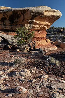 Ancient Collection: USA, Utah. Geological formations near Caprock Ruin, Cedar Mesa, Bears Ears National Monument