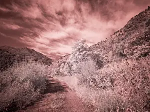 Pass Prints: USA, Utah, Infrared of backroad in the Logan Pass area Date: 25-09-2020