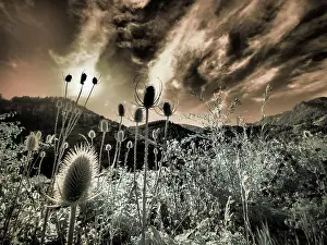 USA, Utah, Infrared of the Logan Pass area Date: 25-09-2020