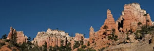 Pine Gallery: USA, Utah. Panoramic of hoodoos, Bryce Canyon National Park