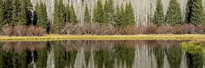 Panoramic Prints: USA, Utah. Reflections on Warner Lake, Manti-La Sal National Forest. Date: 01-11-2020