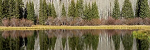 Aspen Gallery: USA, Utah. Reflections on Warner Lake, Manti-La