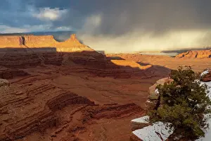 USA, Utah. Twisted juniper at an overlook, Dead Horse Point State Park. Date: 16-02-2021