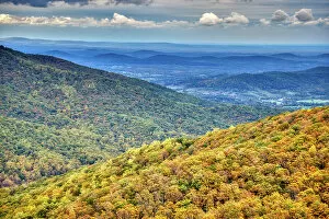 Images Dated 21st June 2021: USA, Virginia, Shenandoah National Park, fall color Date: 16-10-2020