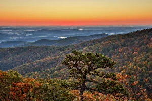 Images Dated 21st June 2021: USA, Virginia, Shenandoah National Park, Sunrise along Skyline Drive in the Fall Date: 17-10-2020