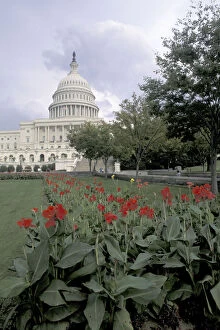 Images Dated 10th May 2004: USA, Washington DC. Capitol Building