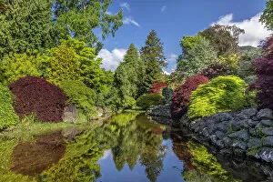 Images Dated 4th October 2021: USA, Washington State, Brinnon. Whitney Garden and Nursery landscape reflects in pond