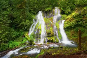 Images Dated 2021 October: USA, Washington State, Gifford Pinchot National Forest. Panther Creek Falls along Panther Creek